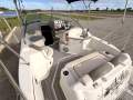 Sea Ray 245 Sundancer - Family Cruiser with trailer!