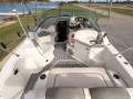 Sea Ray 245 Sundancer - Family Cruiser with trailer!