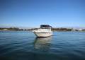 Sea Ray 310 DA *** SHAFT DRIVEN ***