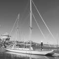Classic Built NZ Charles Bailey Jnr