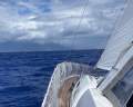 Beneteau Oceanis 46.1