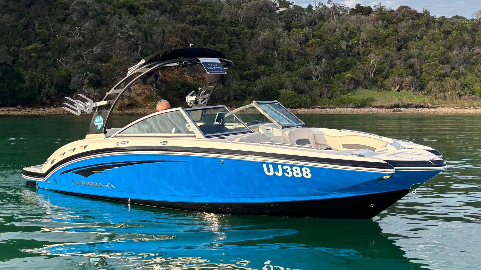 Chaparral 244 Sunesta Surf