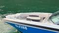 Chaparral 244 Sunesta Surf