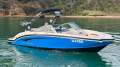 Chaparral 244 Sunesta Surf