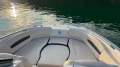 Chaparral 244 Sunesta Surf