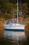 Catalina 356 : AVAILABLE TO ORDER