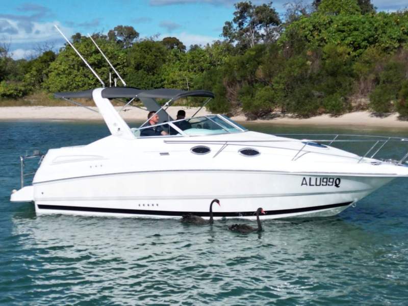Mustang 2800 SportsCruiser Series III LOTS SPENT!