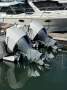 Kevlacat 3000 Sportsfisher NEW HONDA BF250HP & ELECTRONICS $200k+ UPGRADES