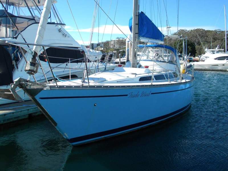 Peterson Islander