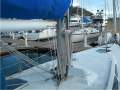 Peterson Islander