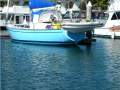 Peterson Islander