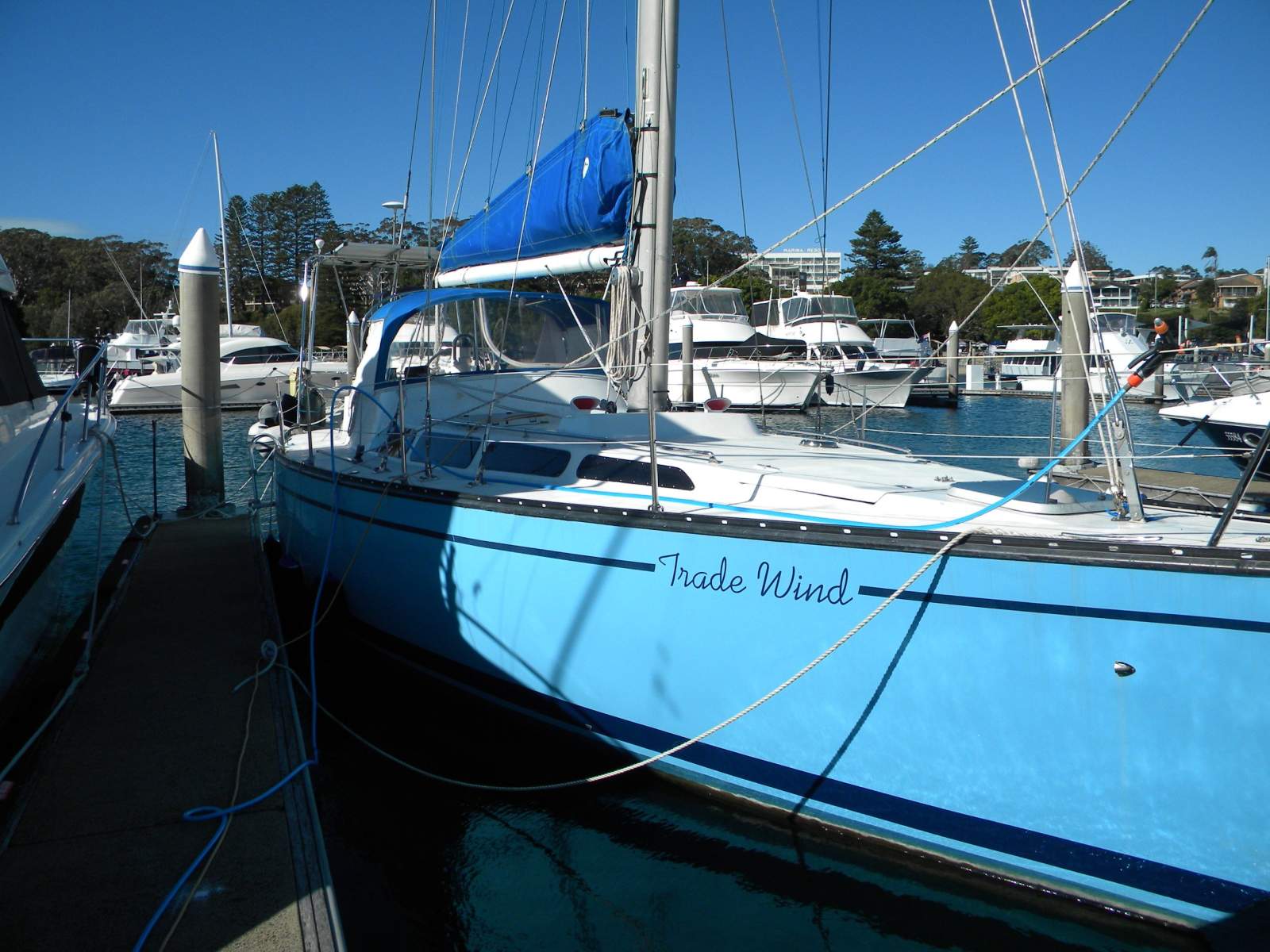 Peterson Islander