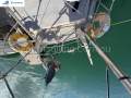 South Coast 36 QLD Cruiser