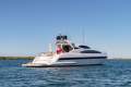Mangusta 105