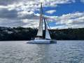 Schionning Line Honours 12m