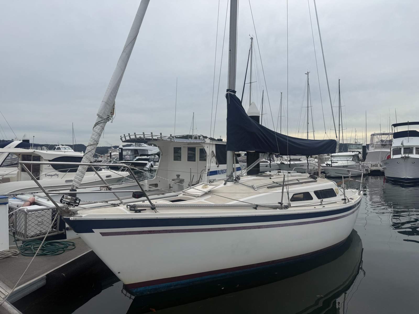 Northshore 27