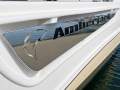 Sea Ray 290 Amberjack