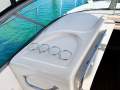 Sea Ray 290 Amberjack