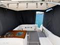 Sea Ray 290 Amberjack