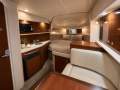 Sea Ray 290 Amberjack
