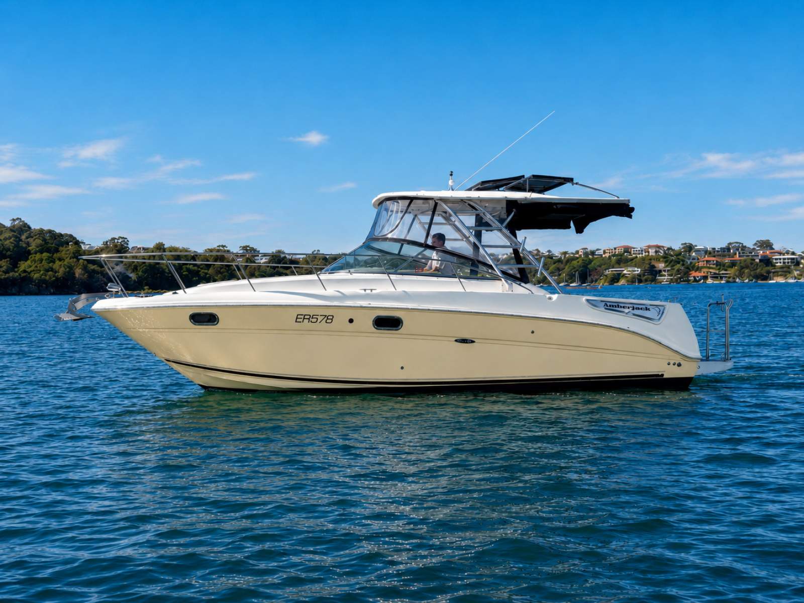 Sea Ray 290 Amberjack