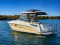 Sea Ray 290 Amberjack
