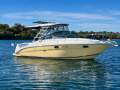 Sea Ray 290 Amberjack