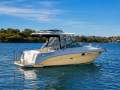 Sea Ray 290 Amberjack