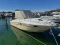 Sea Ray 290 Amberjack