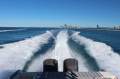 Grady-White Express 305