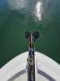 Sea Ray 380 Sundancer