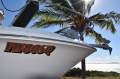 Wellcraft 252 Coastal Hardtop