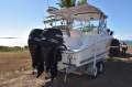 Wellcraft 252 Coastal Hardtop