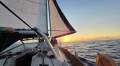 Alliage 44