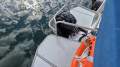 Jackaroo 9.3 Catamaran