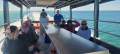 10.9m Tourism Punt/Fishing Punt 2D/3D Survey
