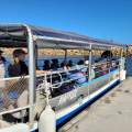 10.9m Tourism Punt/Fishing Punt 2D/3D Survey