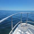 10.9m Tourism Punt/Fishing Punt 2D/3D Survey