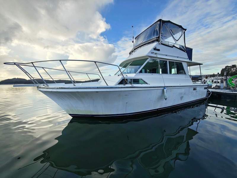 Mariner 31 Flybridge