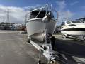 Black Dog 7.2 OFFSHORE