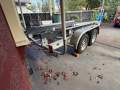 Sunbird 25 Yacht with Duralum trailer - marine surveyed Aug26