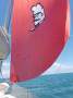 Compass 750