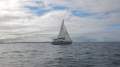 Compass 750