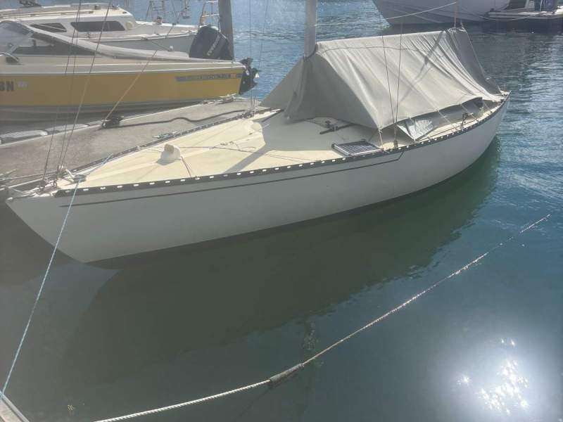 Swanson Dart 22
