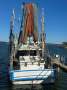 TS649 16.0m Trawler Evelyn Mae