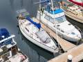 Duncanson 35 "Starpath"