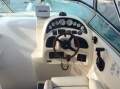 Mustang Sports Cruiser
