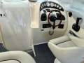Mustang Sports Cruiser
