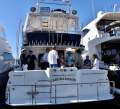 Mikelson 50 Luxury Sportsfisher