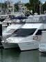 Pacific Power Catamaran